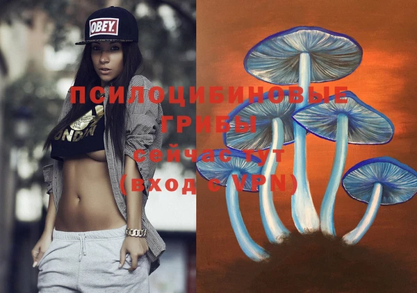 спайс Бугульма