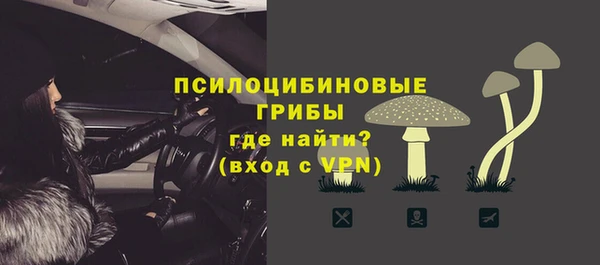 дживик Богородицк