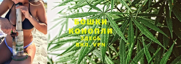 дживик Богородицк