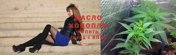сатива Белокуриха